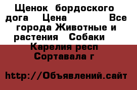 Щенок  бордоского  дога. › Цена ­ 60 000 - Все города Животные и растения » Собаки   . Карелия респ.,Сортавала г.